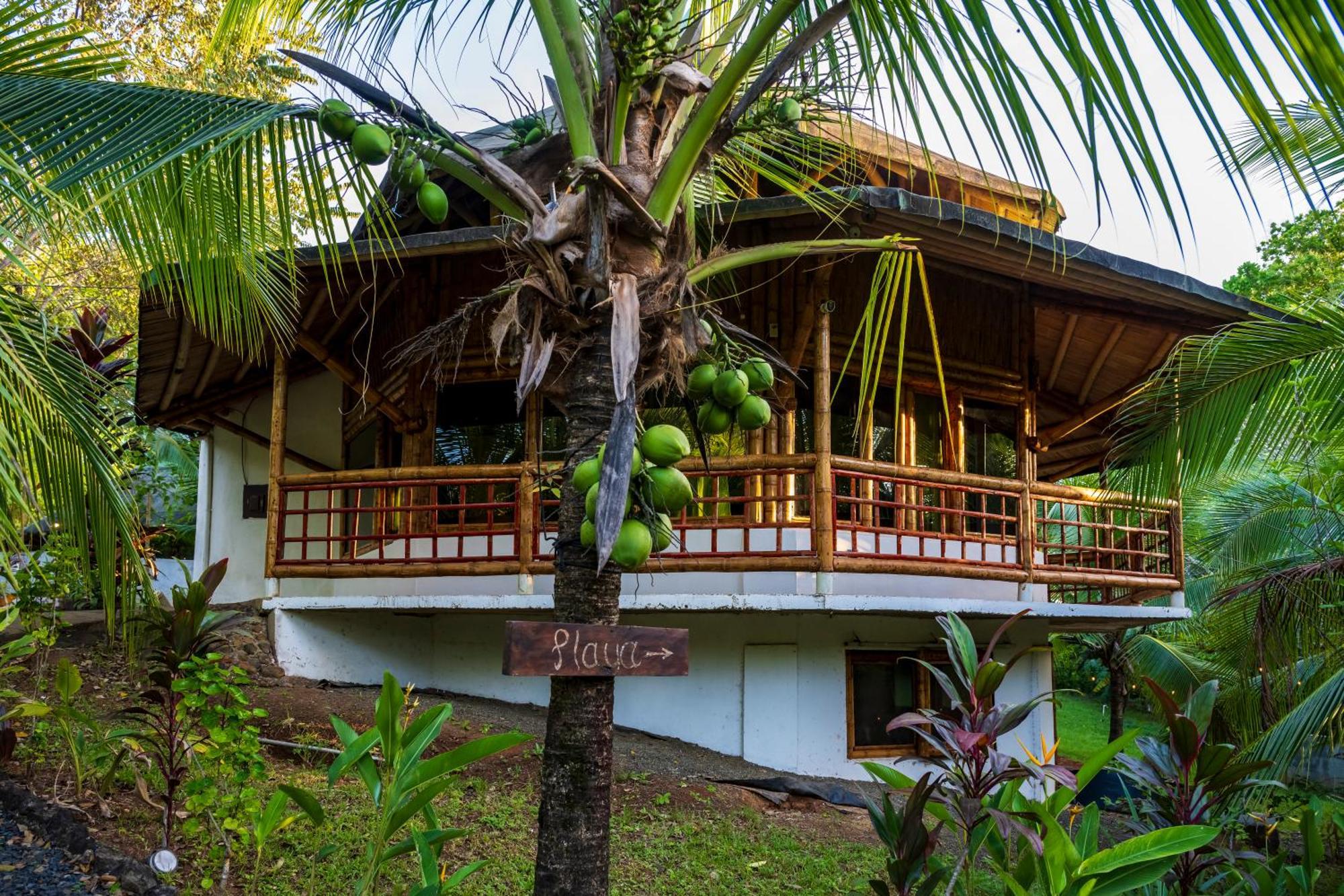 Eco-Lodge Deseo Bamboo Санта-Каталина Экстерьер фото