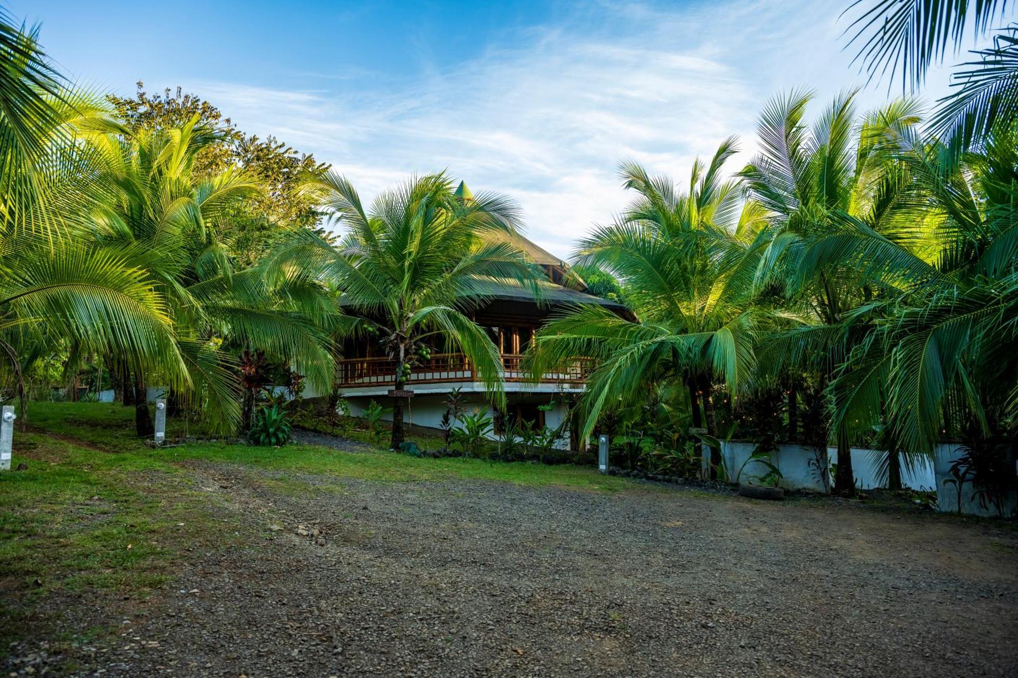 Eco-Lodge Deseo Bamboo Санта-Каталина Экстерьер фото