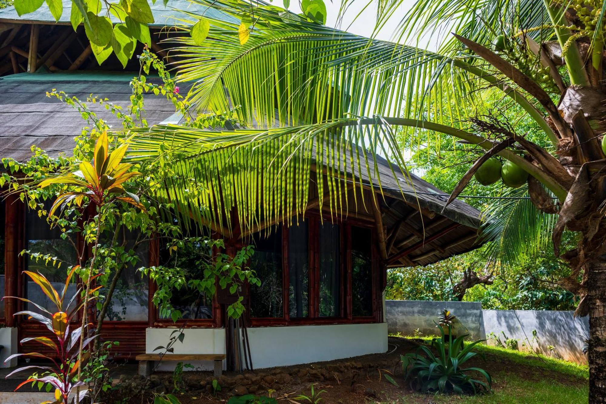 Eco-Lodge Deseo Bamboo Санта-Каталина Экстерьер фото